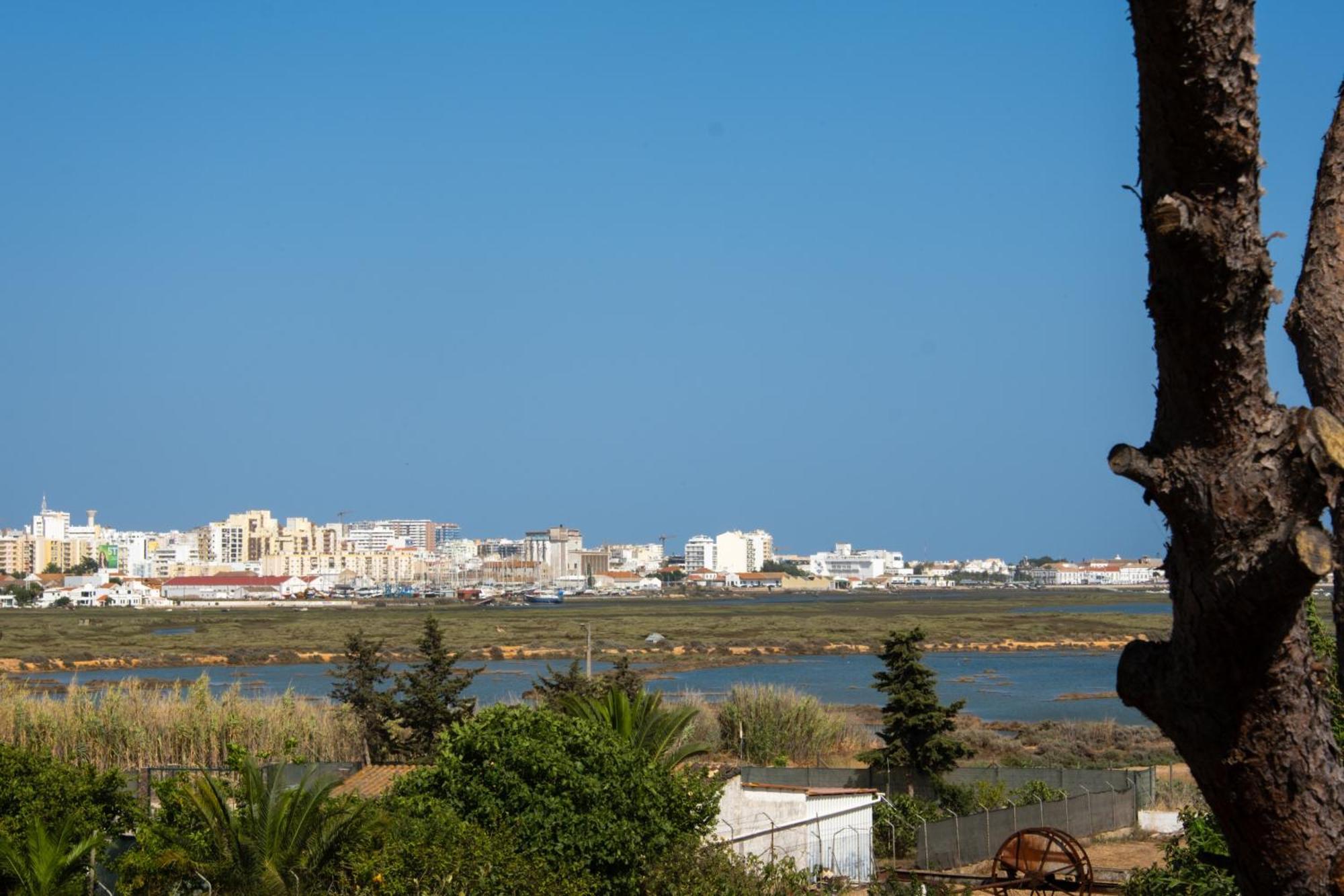 Ria Formosa Guest House Distrikt Distrikt Faro Exterior foto