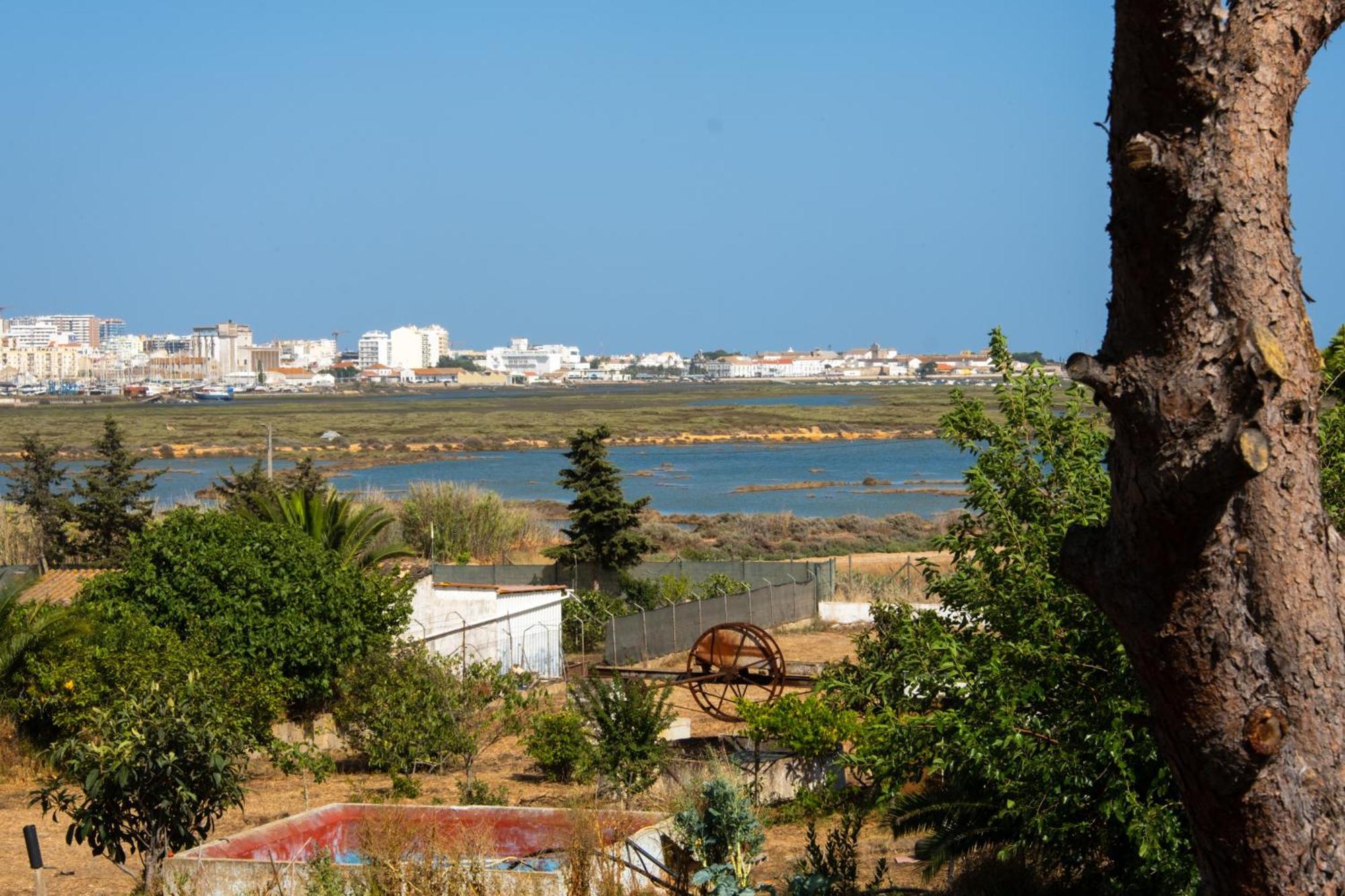 Ria Formosa Guest House Distrikt Distrikt Faro Exterior foto