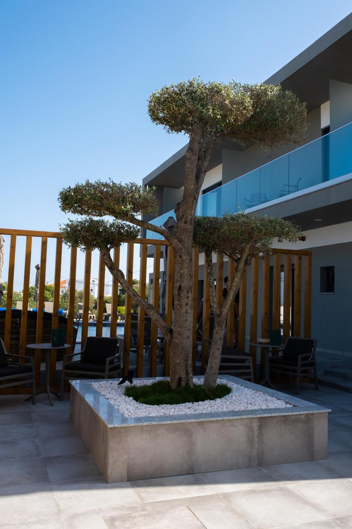 Ria Formosa Guest House Distrikt Distrikt Faro Exterior foto
